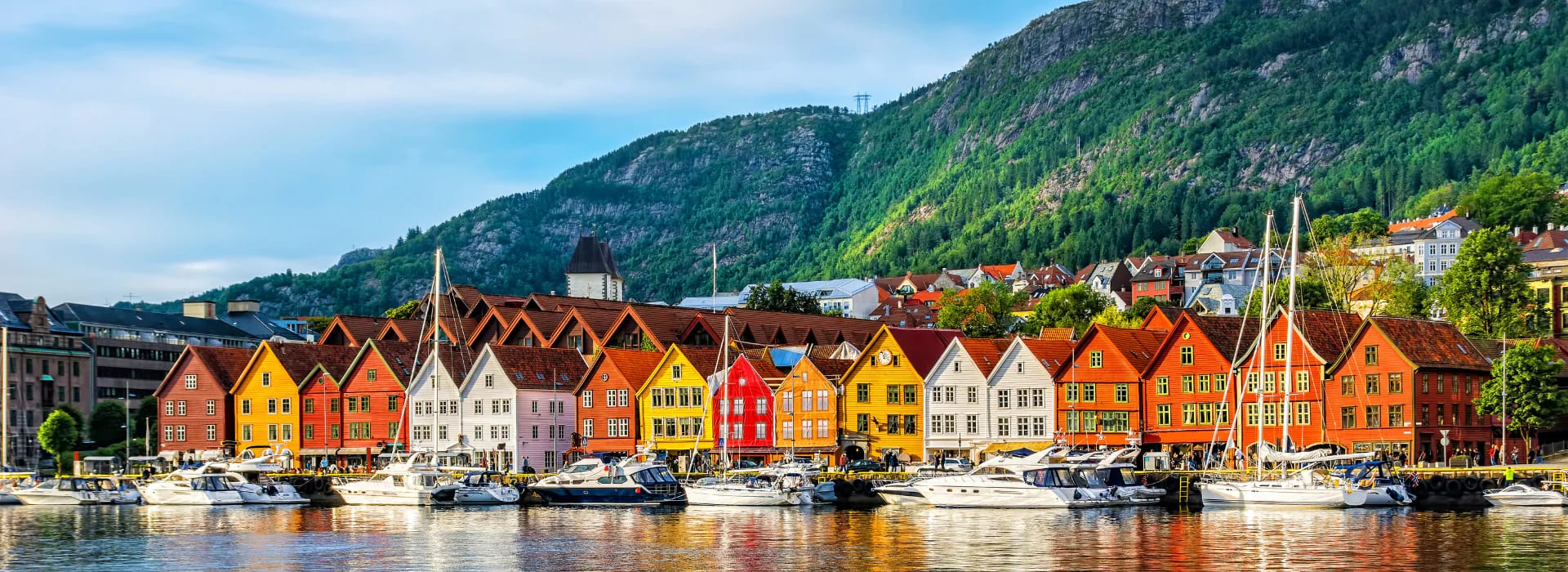 Norway banner — Mogana.dev